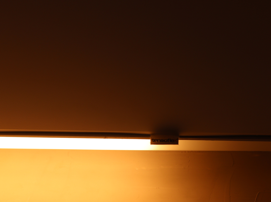 Frame 81